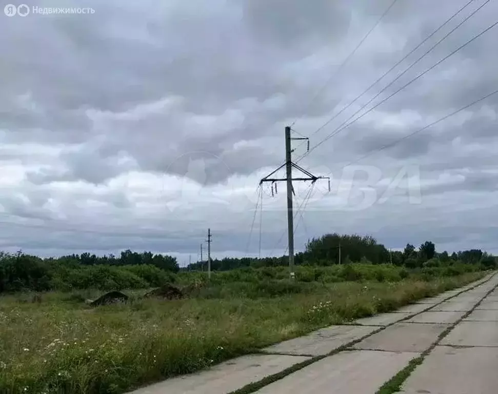 Участок в Исетский район, село Шорохово (15 м) - Фото 0