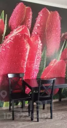 1-к кв. Ставропольский край, Ставрополь ул. Войтика, 4/1 (52.0 м) - Фото 2