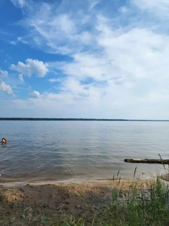 Участок в Новосибирская область, Новосибирск ул. Ленина, 1 (1.0 сот.) - Фото 0