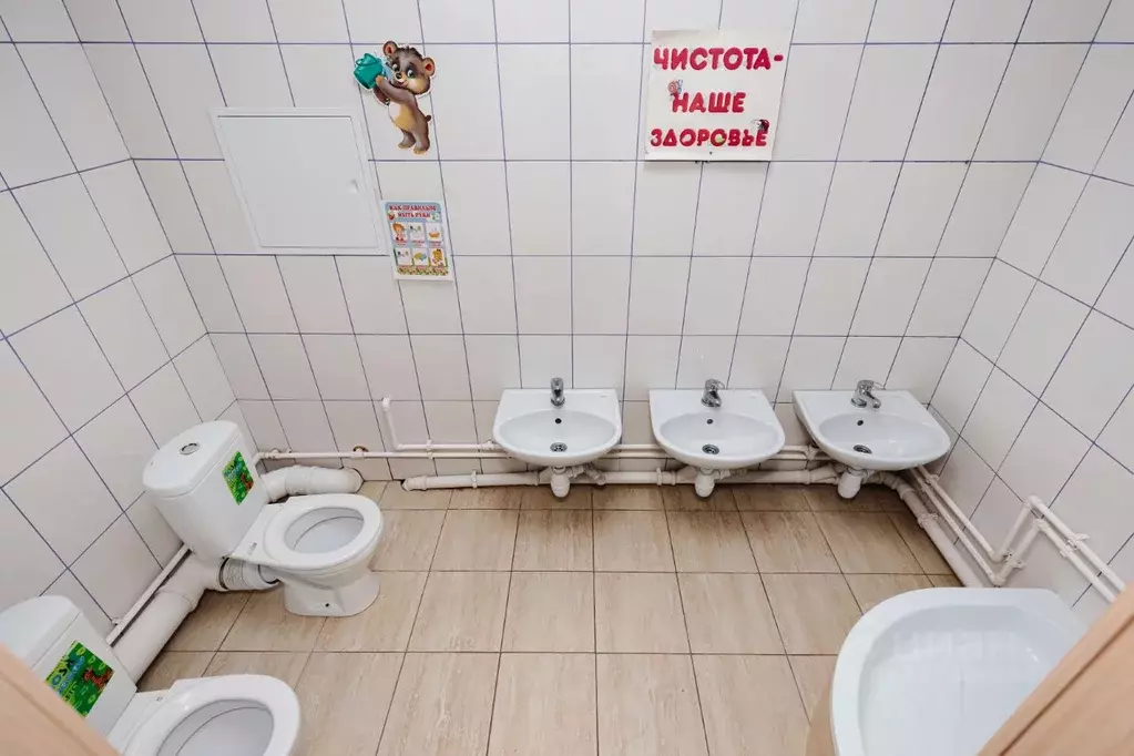 Помещение свободного назначения в Новосибирская область, Новосибирский ... - Фото 1