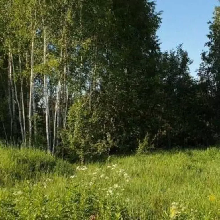 Участок в Владимирская область, Судогодский муниципальный округ, д. ... - Фото 2