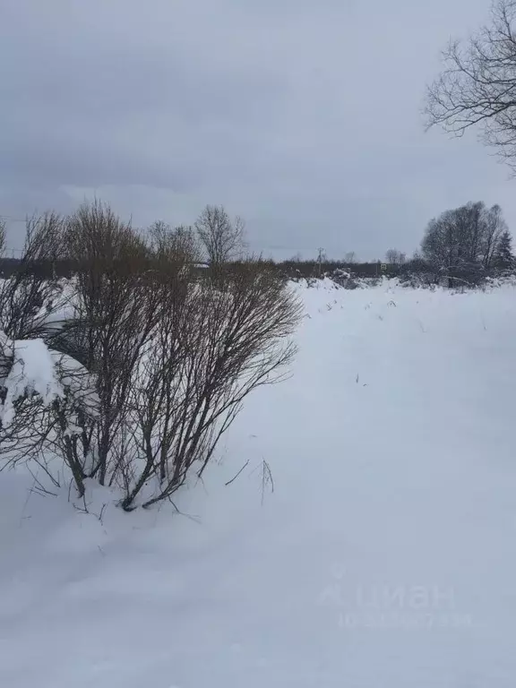 Участок в Московская область, Можайский муниципальный округ, д. Лусось ... - Фото 0