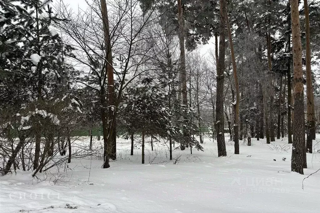 Участок в Московская область, Одинцовский городской округ, д. ... - Фото 2