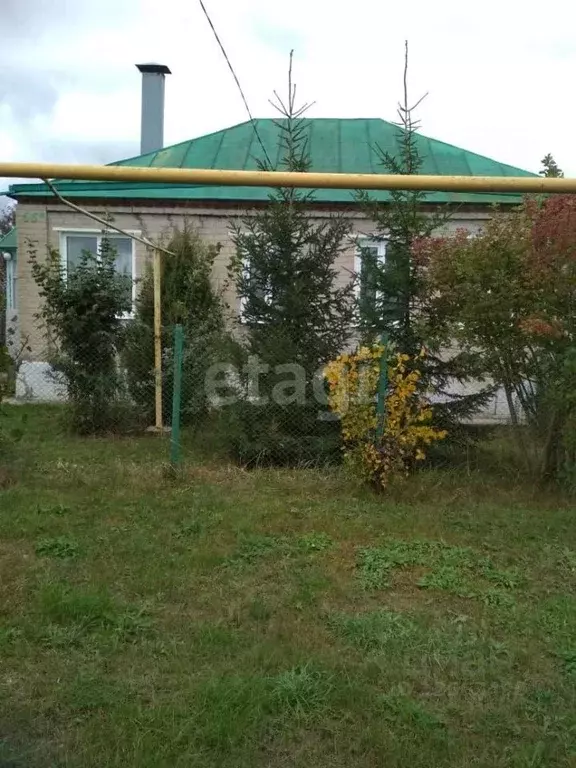 Дом в Воронежская область, Верхнехавский район, с. Углянец ул. ... - Фото 0