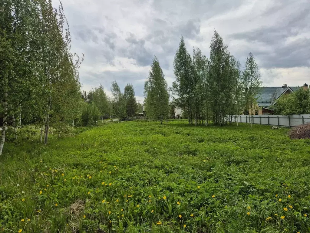 Участок в Санкт-Петербург, Санкт-Петербург, Павловск Звездочка СНТ, ... - Фото 1