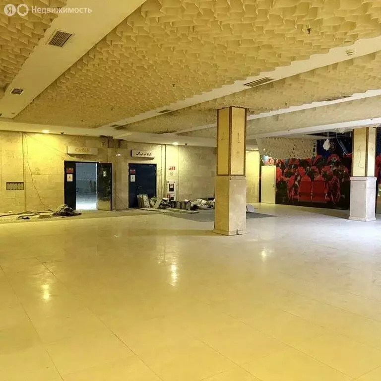Помещение свободного назначения (1000 м) - Фото 2