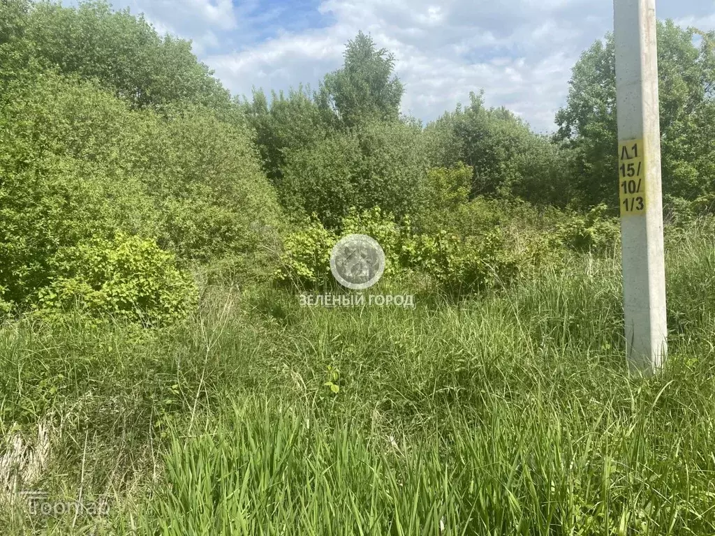 Участок в Калининградская область, Зеленоградский муниципальный округ, ... - Фото 1