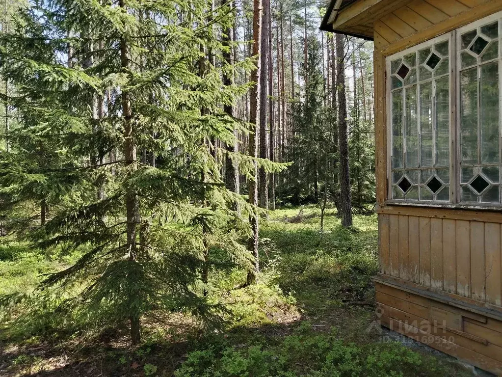 Дом в Санкт-Петербург пос. Репино, Курортная ул. (57 м) - Фото 1