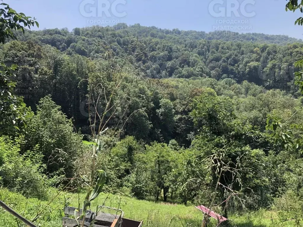 Участок в Краснодарский край, Сочи городской округ, с. Красная Воля ... - Фото 0