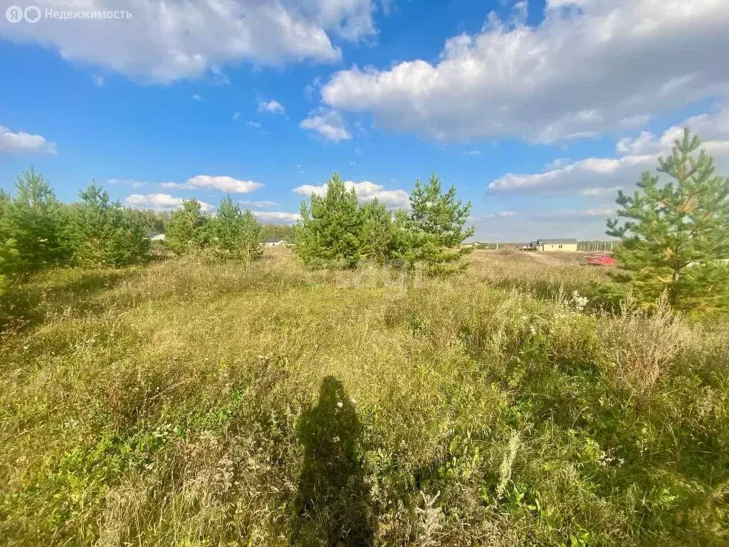 Участок в село Большие Харлуши, коттеджный посёлок Новые Харлуши (630 ... - Фото 1