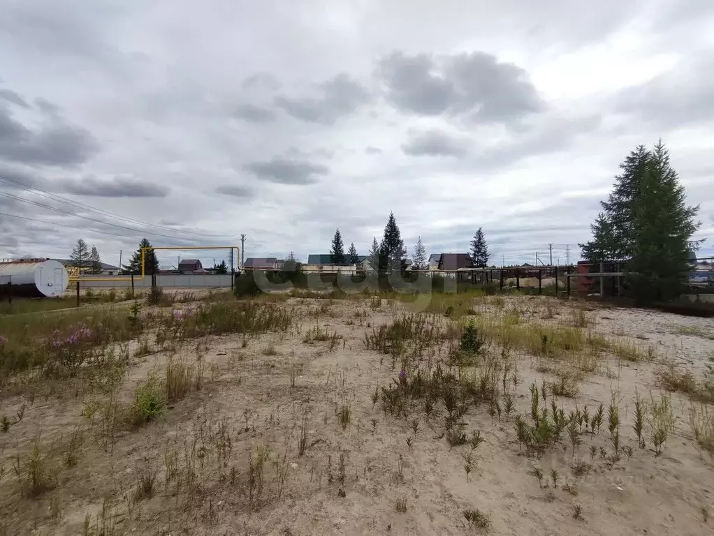 Участок в Ямало-Ненецкий АО, Новый Уренгой Северный Берег ДНТ, ул. 4-я ... - Фото 0