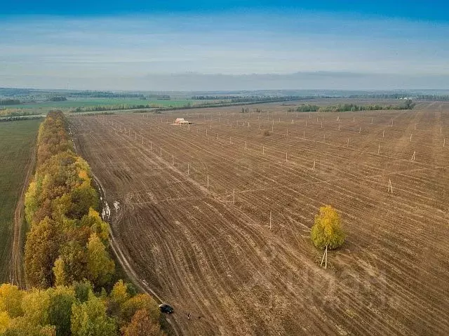 Участок в Татарстан, Лаишевский район, с. Державино ул. Вишневая, 17 ... - Фото 0