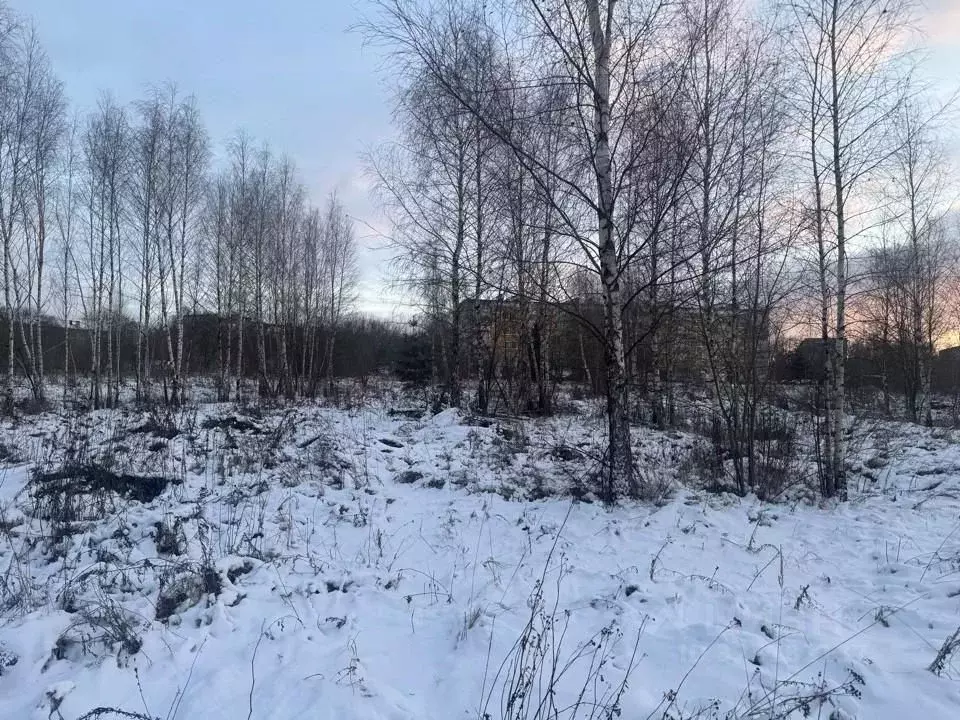 Участок в Московская область, Кашира Ожерелье мкр,  (9.6 сот.) - Фото 1