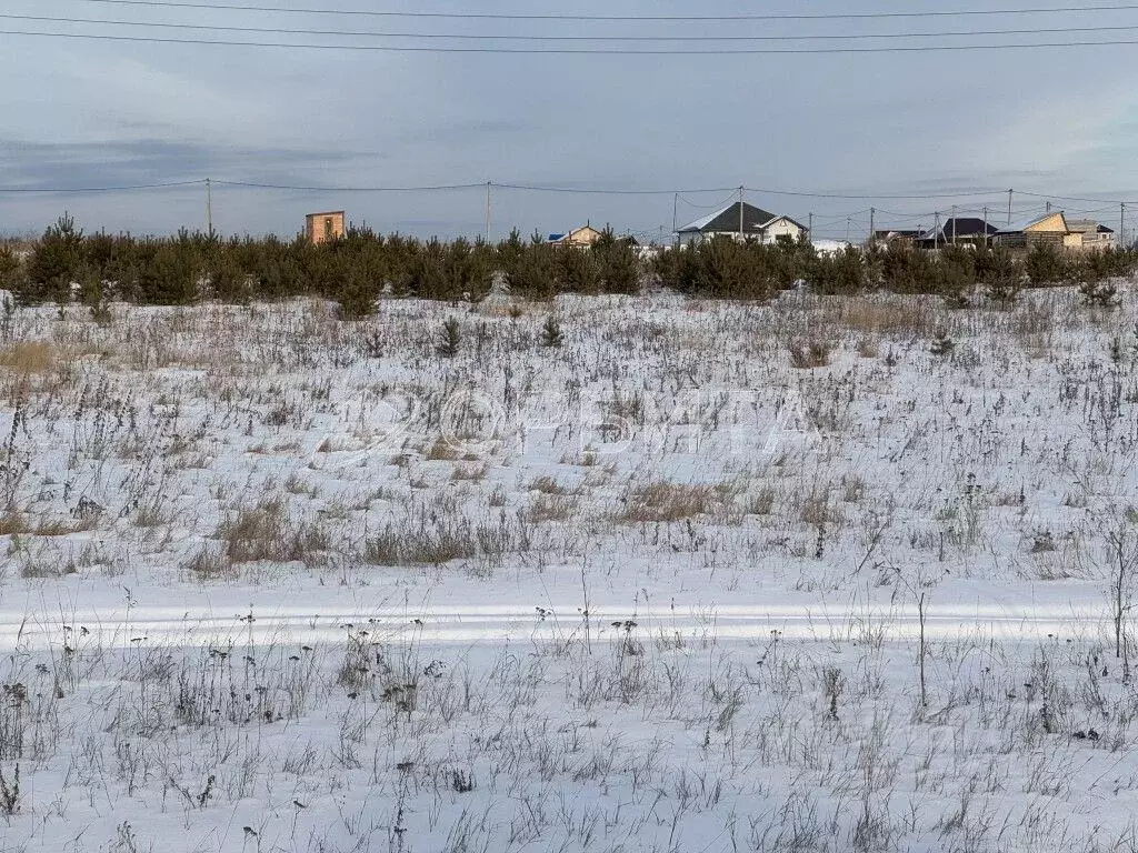 Участок в Тюменская область, Тюменский район, с. Борки  (9.21 сот.) - Фото 1