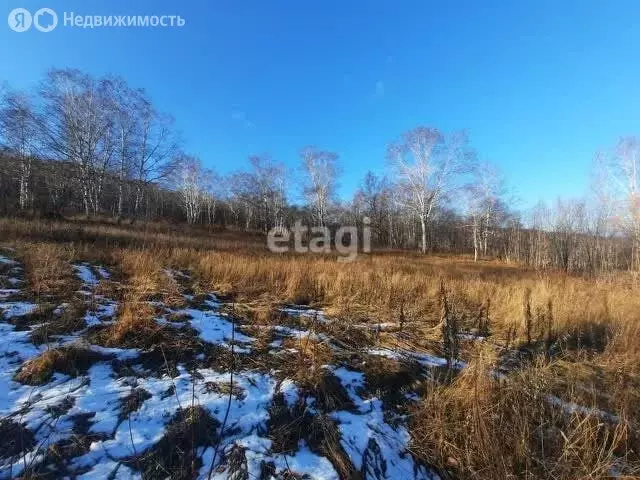 Участок в Елизово, Рябиновая улица (12 м) - Фото 0
