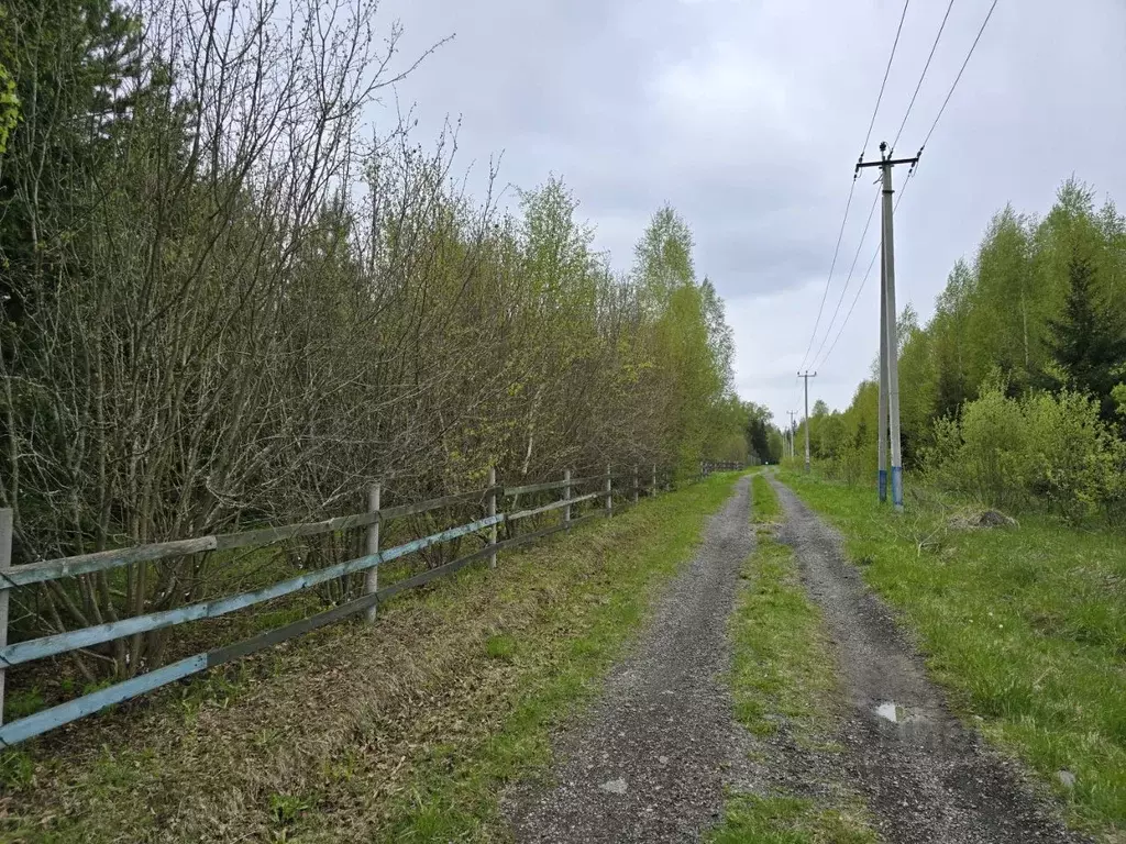 Участок в Московская область, Солнечногорск городской округ, д. ... - Фото 0