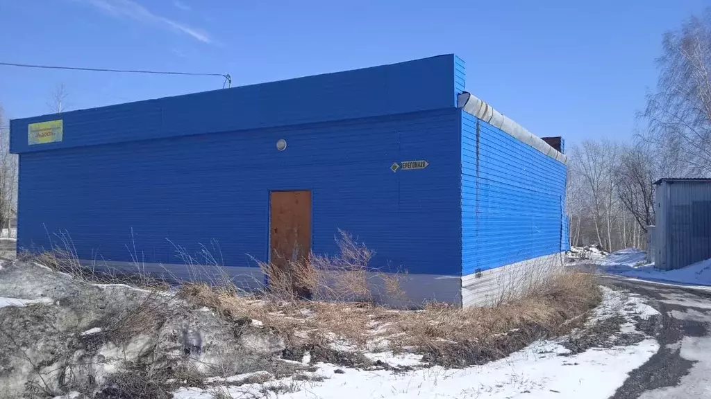 Помещение свободного назначения в Кемеровская область, Кемерово пос. ... - Фото 0