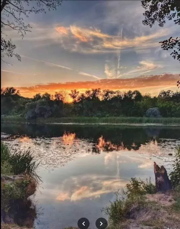 Участок в Воронежская область, Рамонь рп  (6.0 сот.) - Фото 1