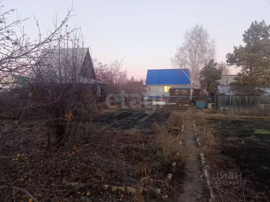 Участок в Курганская область, Курган пос. Южный, ул. Рябинская, 5 ... - Фото 1