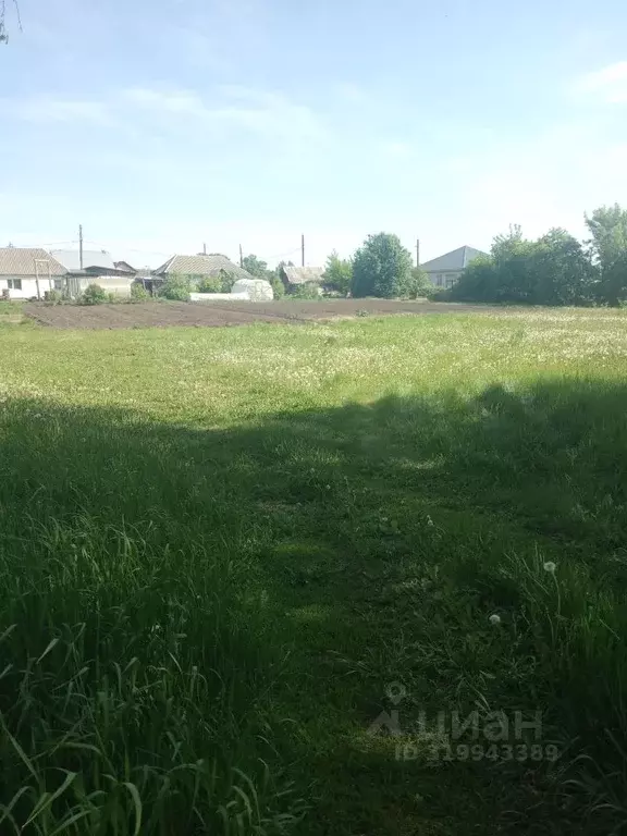 Участок в Алтайский край, Барнаул городской округ, пос. Черницк ул. ... - Фото 1