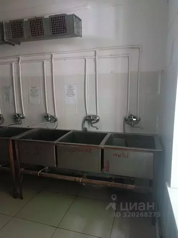 Помещение свободного назначения в Свердловская область, Екатеринбург ... - Фото 1