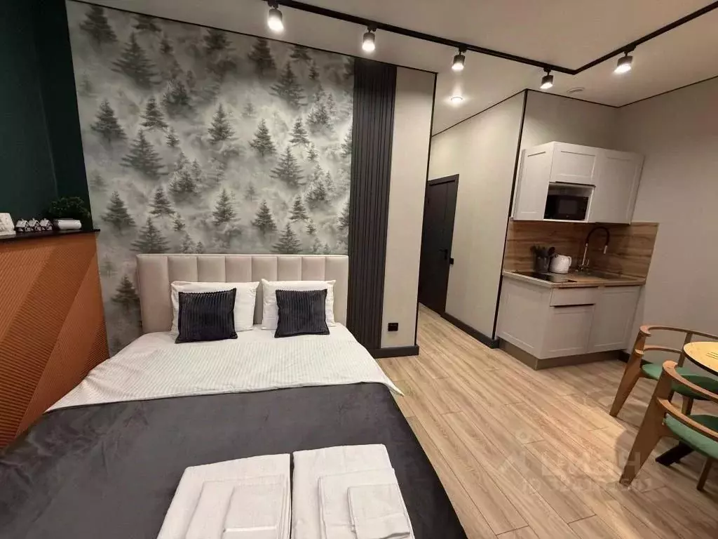 1-к кв. Татарстан, Казань Лево-Булачная ул., 56 (30.0 м) - Фото 2