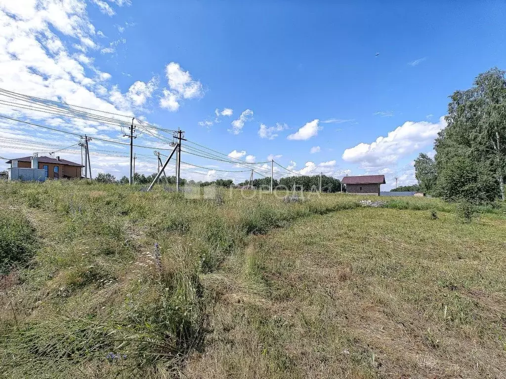 Участок в Новосибирская область, Новосибирский район, Раздольненский ... - Фото 2