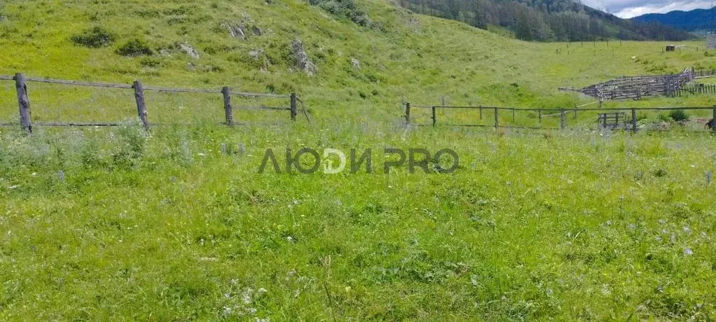 Участок в Алтай, Шебалинский район, с. Шебалино ул. Радуги, 2 (14.0 ... - Фото 2