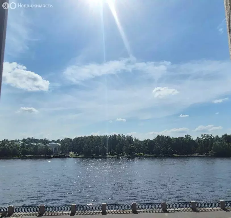 Квартира-студия: Санкт-Петербург, Приморский проспект, 6 (16.5 м) - Фото 0