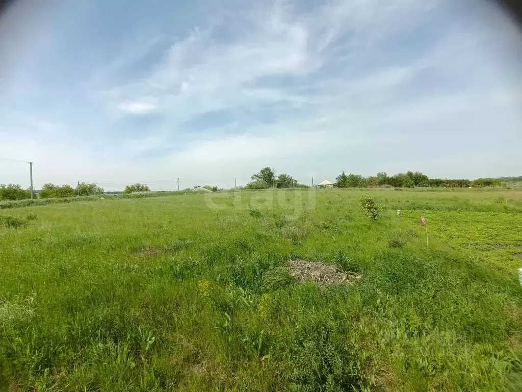 Участок в Белгородская область, Губкинский городской округ, с. Осколец ... - Фото 0