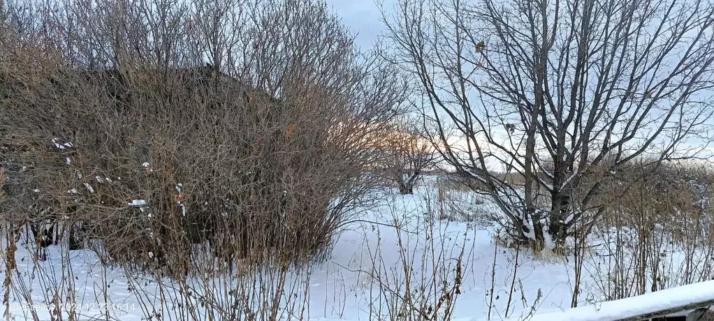 Дом в Челябинская область, Еткульский муниципальный округ, с. Шибаево ... - Фото 2