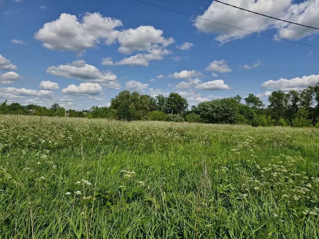 Участок в Московская область, Ступино городской округ, с. Березнецово  ... - Фото 2