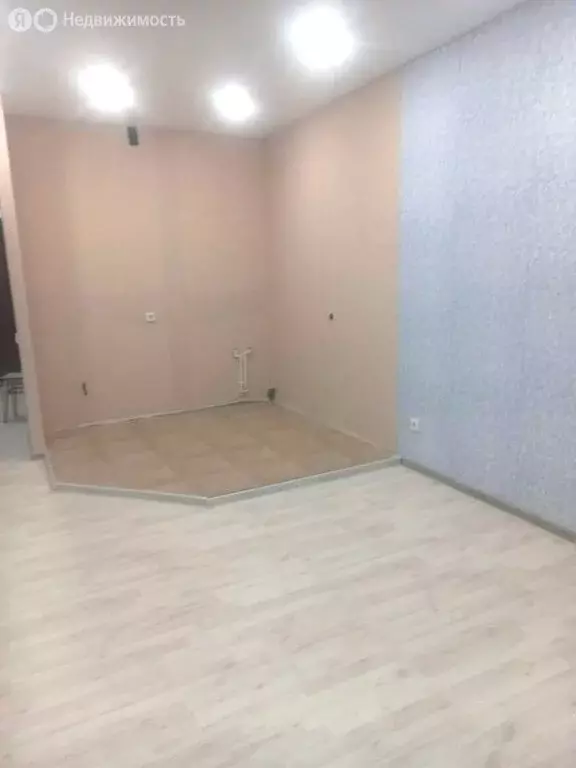 Квартира-студия: Новая Усмань, Раздольная улица, 1 (26.4 м) - Фото 1