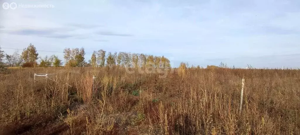 Участок в Ульяновск, Ленинский район (8 м) - Фото 1