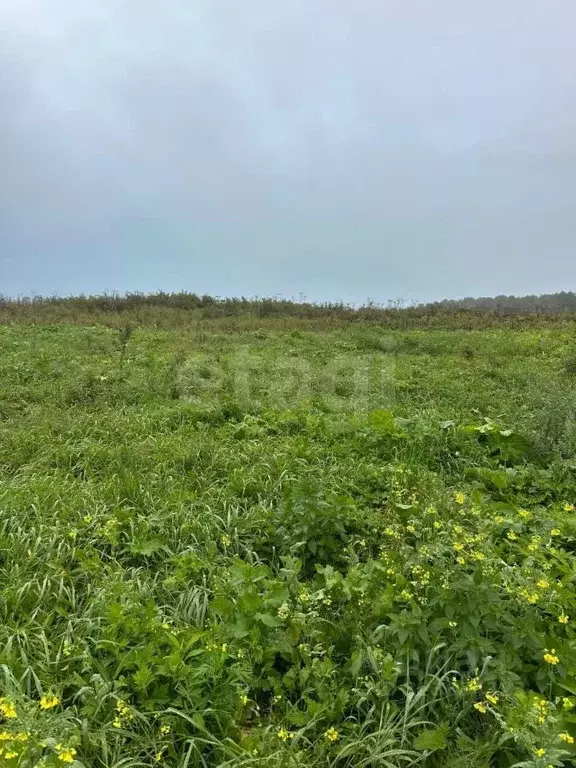 Участок в Сахалинская область, Анивский городской округ, с. ... - Фото 1