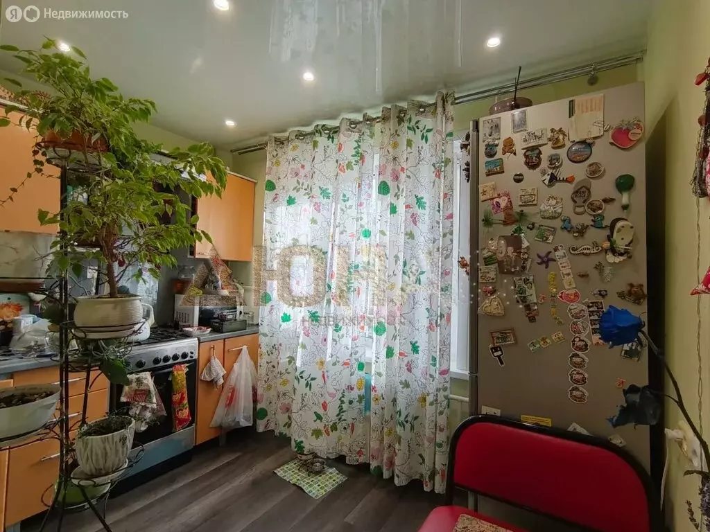 1-комнатная квартира: Кострома, Рябиновый проезд, 3 (35 м) - Фото 0