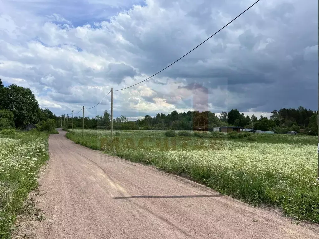 Участок в Ленинградская область, Выборгский район, Красносельское ... - Фото 1