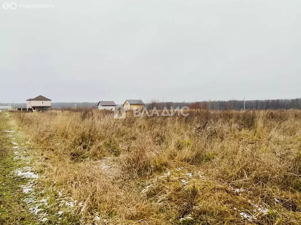 Участок в городской округ Владимир, деревня Шепелево, Окружная улица ... - Фото 1