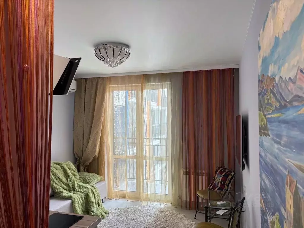 1-к кв. Краснодарский край, Сочи ул. Искры, 88к8 (28.0 м) - Фото 2