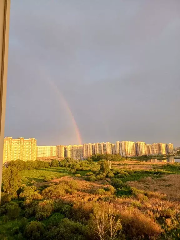 Продаётся 1-к квартира, 31.6 м - Фото 1