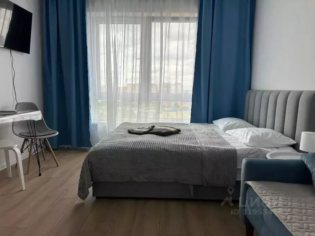 Студия Московская область, Одинцово ул. Березовая, 4к1 (25.0 м) - Фото 1