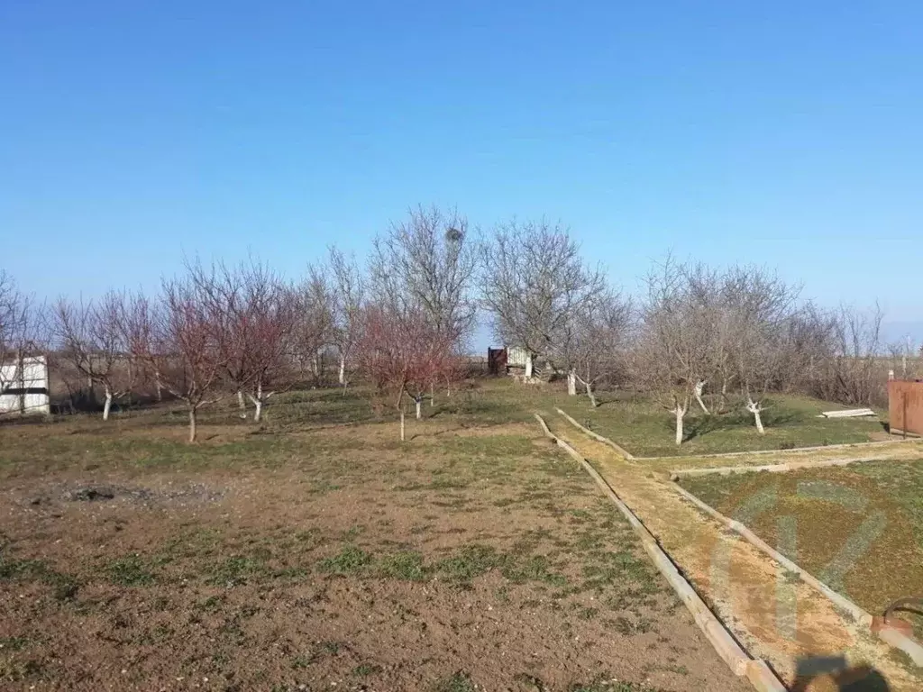 Участок в Крым, Сакский район, с. Орехово ул. Северная, 30 (6.0 сот.) - Фото 2