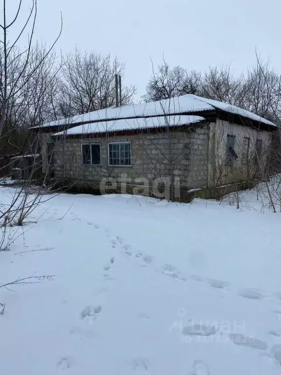 Дом в Белгородская область, Губкинский городской округ, с. Чапкино ул. ... - Фото 0