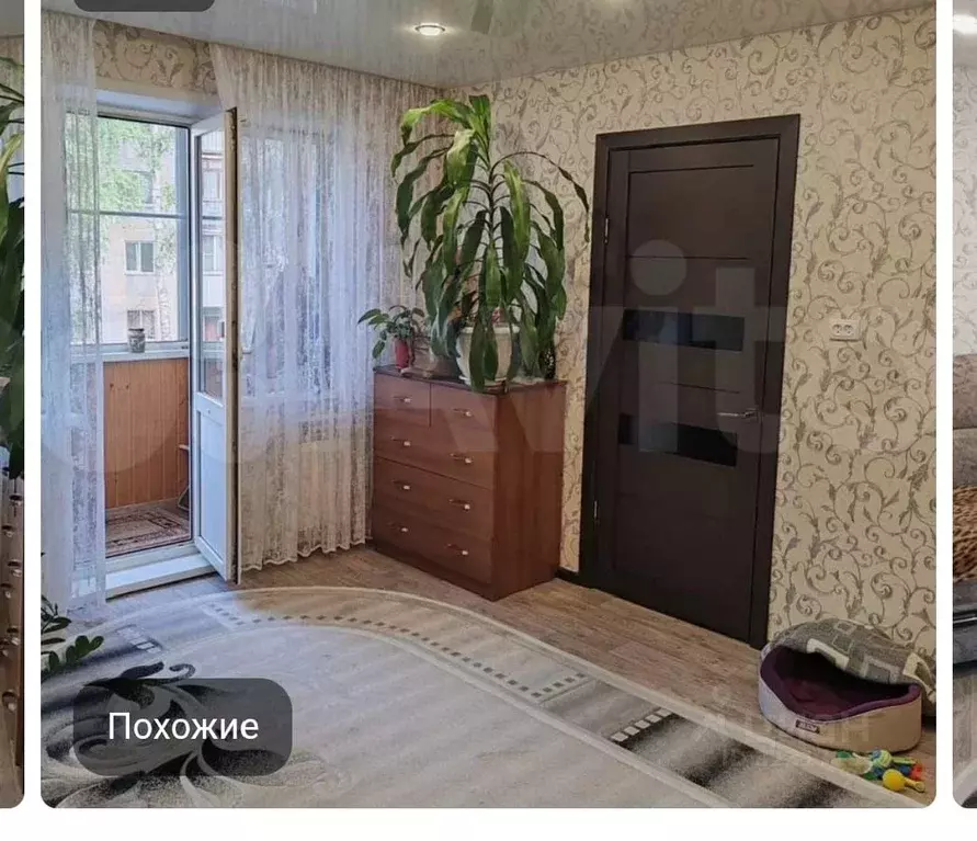 2-к кв. Новосибирская область, Новосибирск ул. Петухова, 48 (44.0 м) - Фото 1