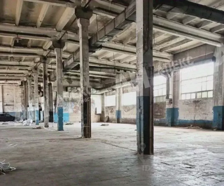 Склад в Московская область, Рузский муниципальный округ, пос. ... - Фото 1