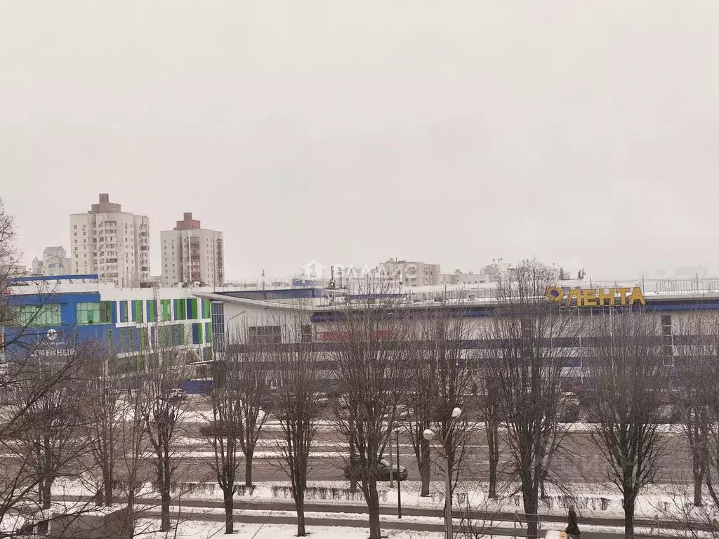 3-к кв. Белгородская область, Белгород ул. Щорса, 40 (60.0 м) - Фото 2