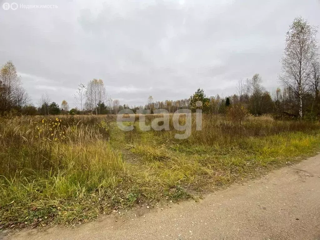 Участок в Судиславский район, Расловское сельское поселение, деревня ... - Фото 0