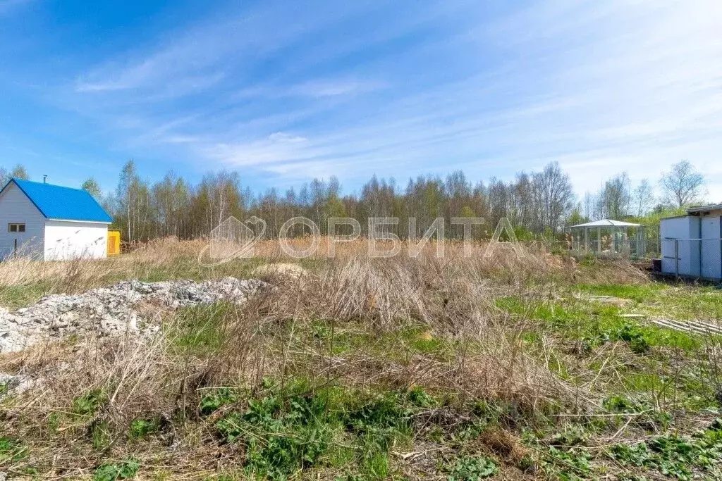 Участок в Тюменская область, Тюмень Автомобилист СНТ, ул. Рябиновая ... - Фото 1