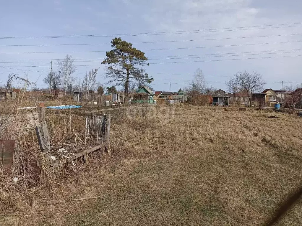 Участок в Хабаровский край, Хабаровск ул. Мичурина-2, 125 (8.0 сот.) - Фото 2