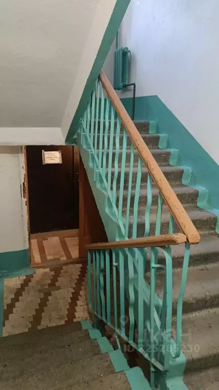 3-к кв. Алтайский край, Барнаул Брестская ул., 6 (43.0 м) - Фото 2